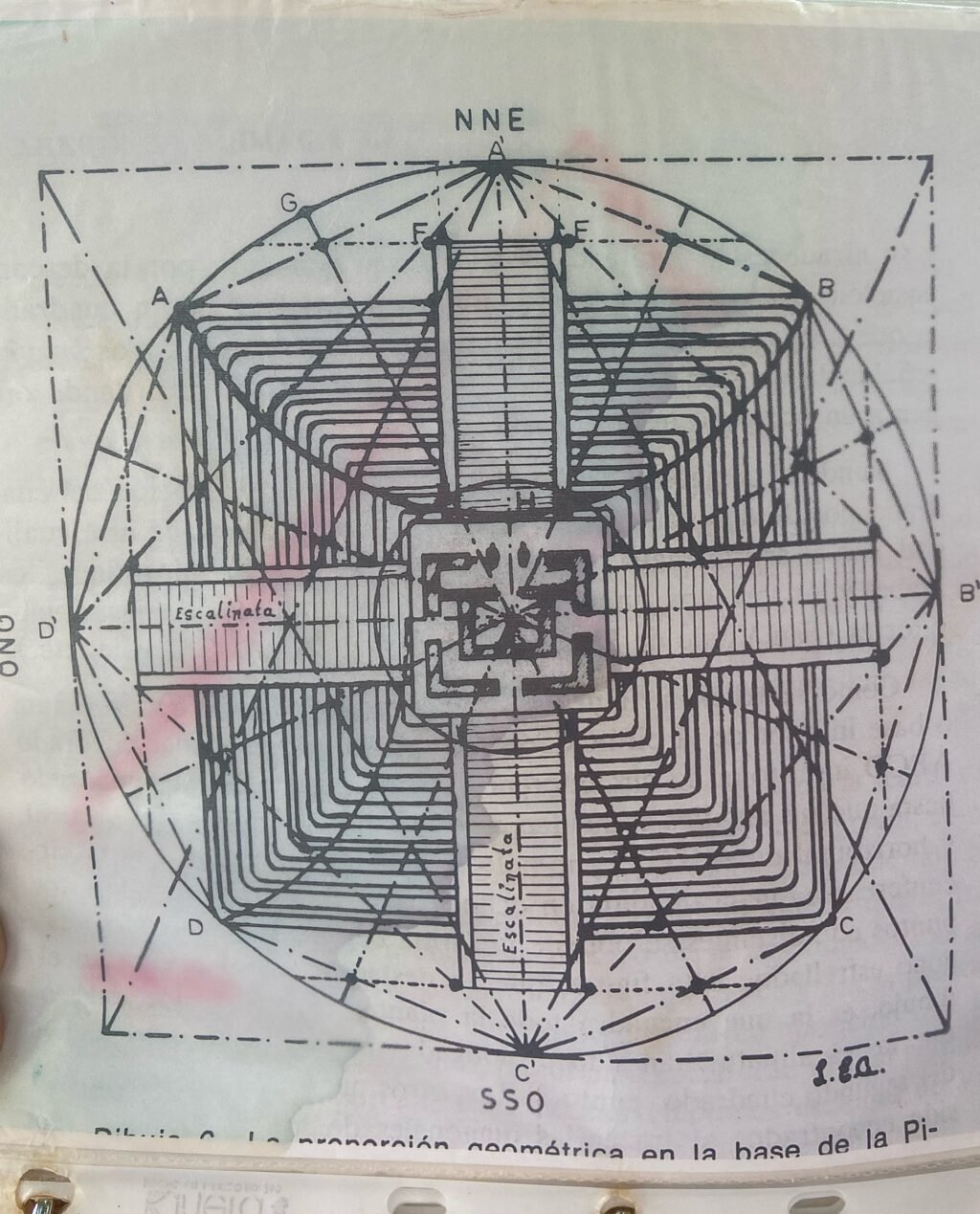 Instagram post from dra.paulacastro. This post is in position 5.