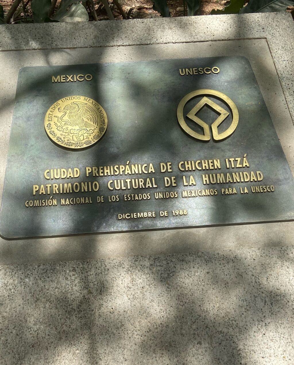 Instagram post from dra.paulacastro. This post is in position 8.